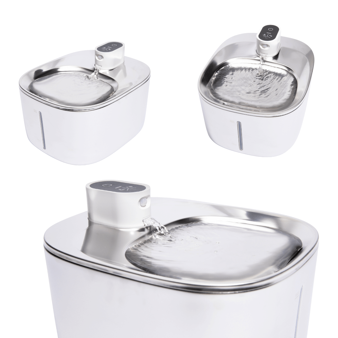 ZuiverPoot – Stromend, gefilterd water voor een gezondere kat