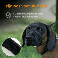 WalkEasy — Wandelen zonder getrek